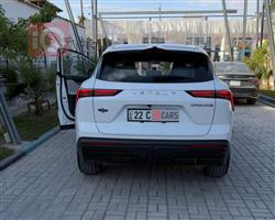 جیتۆر داشينگ